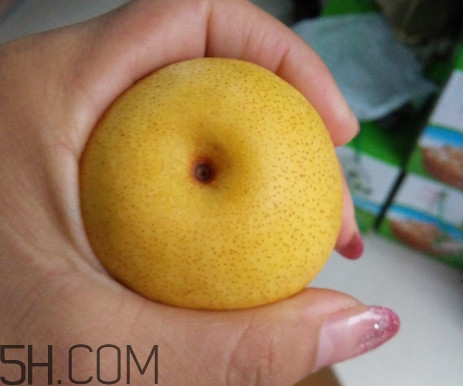 南果梨含酒精嗎？南果梨的功效與作用