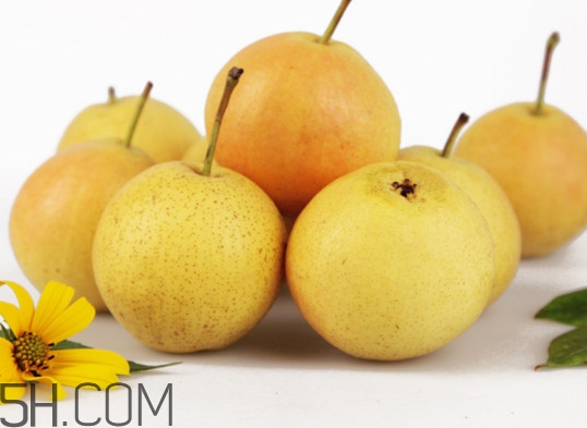 香水梨和南國梨有什么區(qū)別？南果梨怎么保存