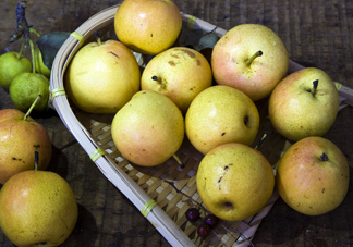 南果梨能止咳嗎？南果梨能放幾天