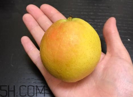 南果梨是發(fā)物嗎？南果梨是酸性還是堿性