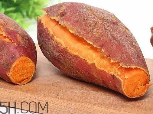 紅薯是蒸的好還是煮的好？紅薯是根還是莖