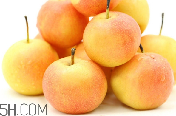 南果梨怎么儲藏？南果梨怎么吃好