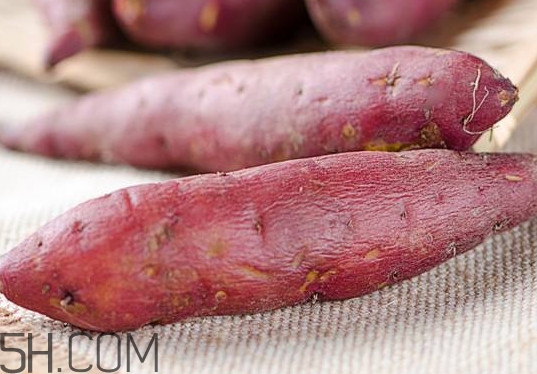 板栗紅薯是轉(zhuǎn)基因食品嗎？板栗紅薯的功效與作用