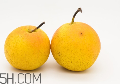 沒(méi)有熟透的南果梨能吃嗎？南果梨怎么做酒