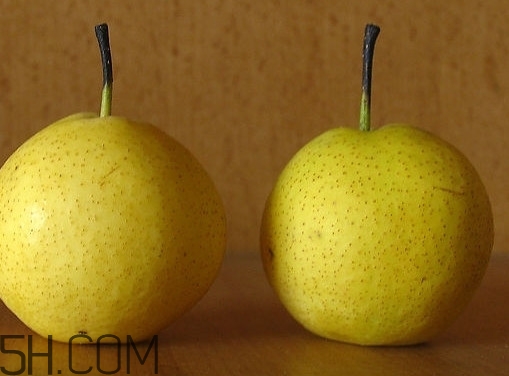 南果梨是哪里的特產(chǎn)？南果梨是嫁接的嗎