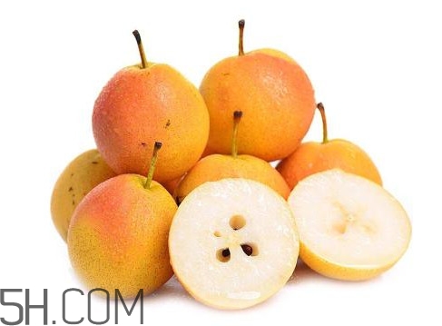 南果梨是寒性水果嗎？南果梨是涼性還是熱性