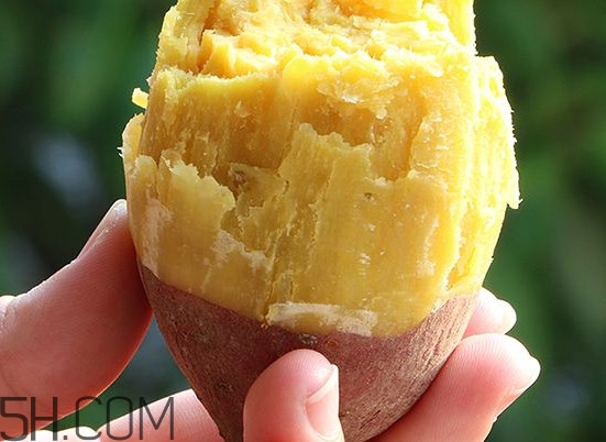 板栗紅薯能一起吃嗎？板栗紅薯哪里產(chǎn)的好吃