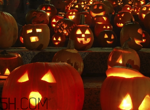 血色百威廣告曲 血色百威廣告背景音樂(lè)是什么 血色百威廣告曲 血色百威廣告背景音樂(lè)是什么