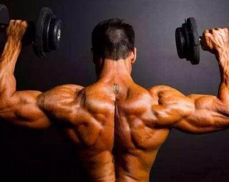 背闊肌怎么練？背闊肌怎么找感覺？