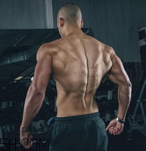 背闊肌怎么練厚？背闊肌怎么發(fā)力？