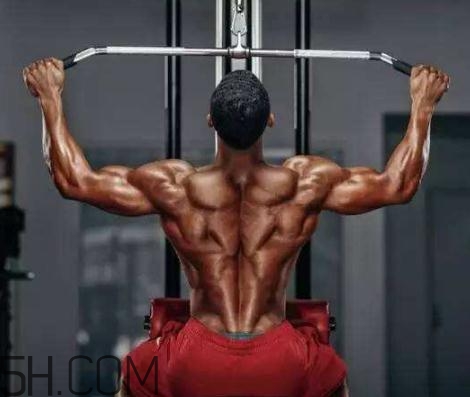 背闊肌怎么練厚？背闊肌怎么發(fā)力？