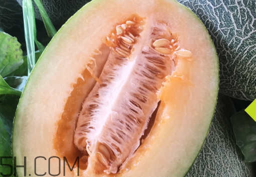 什么樣的哈密瓜才甜_怎么挑選甜的哈密瓜 什么樣的哈密瓜才甜_怎么挑選甜的哈密瓜