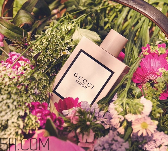 gucci bloom香水好聞嗎？gucci bloom香水香評