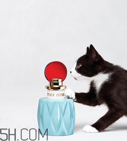 miumiu香水什么檔次？miumiu繆繆香水是哪國的