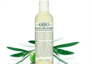 科顏氏氨基酸椰油洗發(fā)水怎么樣？科顏氏氨基酸椰油洗發(fā)水測評