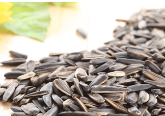 葵花籽可以生吃嗎？葵花籽可以多吃嗎