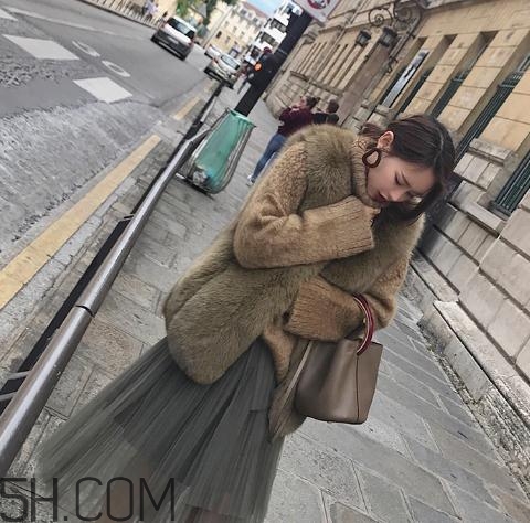 狐貍毛馬甲掉毛嗎？狐貍毛馬甲掉毛怎么辦？