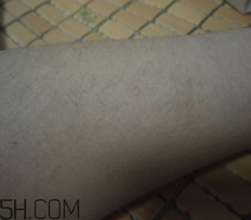 諾詩朵熏衣草精油怎么樣 熏衣草精油的功效 諾詩朵熏衣草精油怎么樣 熏衣草精油的功效