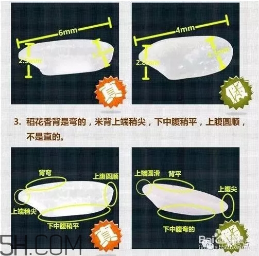 五常大米怎么辨別真假？五常大米和普通米的區(qū)別