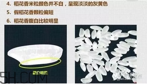 五常大米怎么辨別真假？五常大米和普通米的區(qū)別