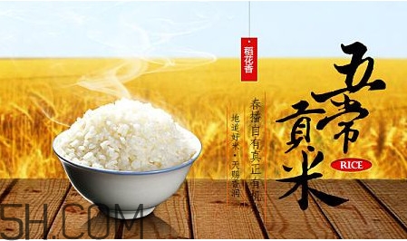 五常大米什么時候種植？五常大米是什么品種