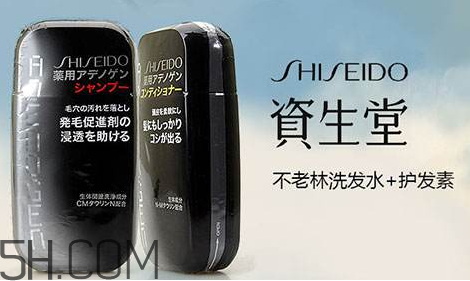 資生堂不老林洗發(fā)水好用嗎？資生堂不老林洗發(fā)水多少錢？