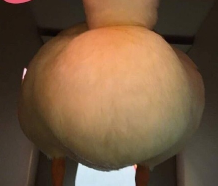 吸鴨表情包 吸鴨動圖 吸鴨表情包 吸鴨動圖