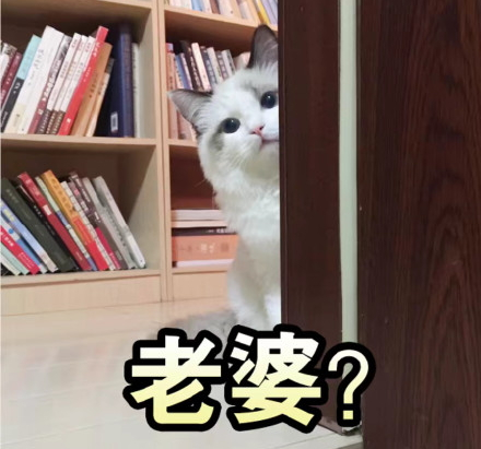 吸鴨表情包 吸鴨動圖 吸鴨表情包 吸鴨動圖