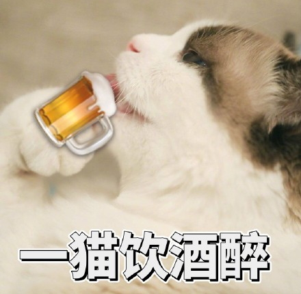 吸鴨表情包 吸鴨動圖 吸鴨表情包 吸鴨動圖