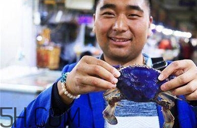藍色梭子蟹可以吃嗎？梭子蟹蟹腿變藍可以吃嗎