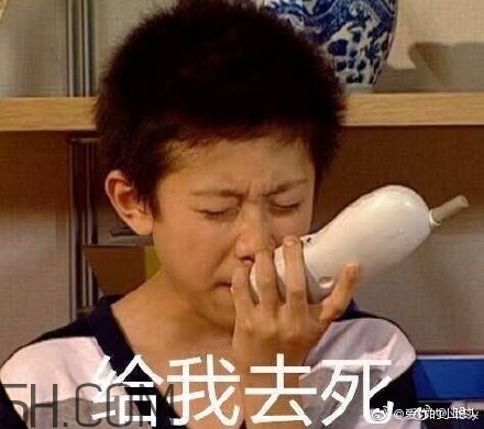 diediedie什么意思？diediedie表情包