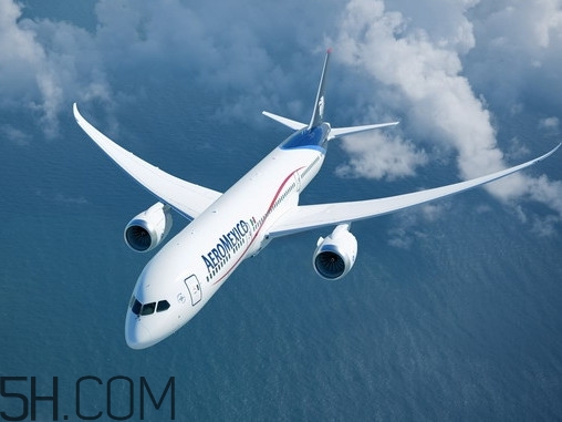 醬牛肉可以帶上飛機(jī)嗎？醬牛肉有點(diǎn)酸了怎么辦