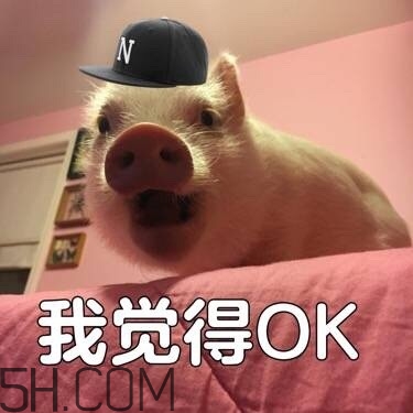 ojbk是什么意思？ojbk表情包