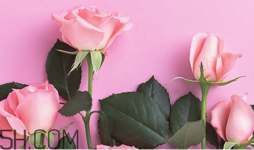 百雀羚唇彩怎么樣？百雀羚唇彩色號(hào)試色