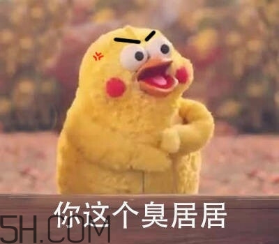 你個臭居居什么意思？你個臭居居表情包