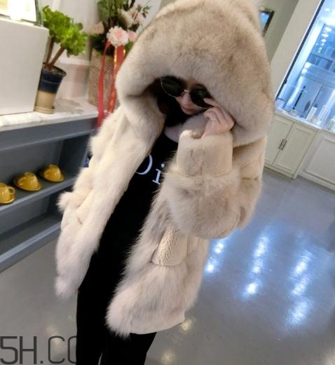 獺兔毛和狐貍毛哪個好？獺兔毛和狐貍毛區(qū)別