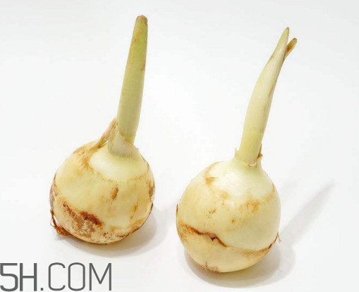 多吃慈菇有什么好處和害處？慈菇怎么保存