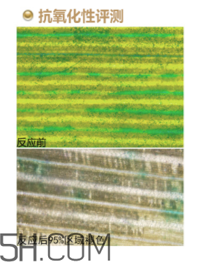 歐珀萊恒久肌底循環(huán)精華露加強型多少錢_適合年齡 歐珀萊恒久肌底循環(huán)精華露加強型多少錢_適合年齡