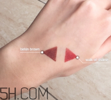 豬肝色口紅哪個(gè)牌子好？豬肝色口紅推薦