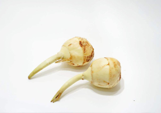 慈菇是發(fā)物嗎？慈菇是馬蹄嗎