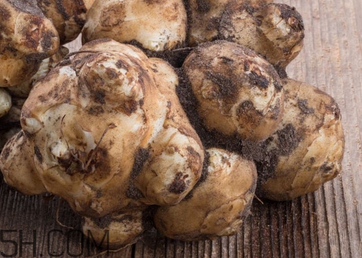 洋姜能治糖尿病嗎？洋姜什么時候收獲