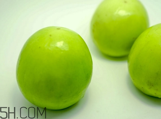 青棗核可以種嗎？青棗種植方法及管理