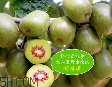 紅心獼猴桃一斤有幾個(gè) 紅心獼猴桃一畝產(chǎn)量 紅心獼猴桃一斤有幾個(gè) 紅心獼猴桃一畝產(chǎn)量