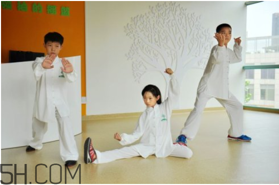 太極拳的養(yǎng)生功效 小孩練太極的好處 太極拳的養(yǎng)生功效 小孩練太極的好處