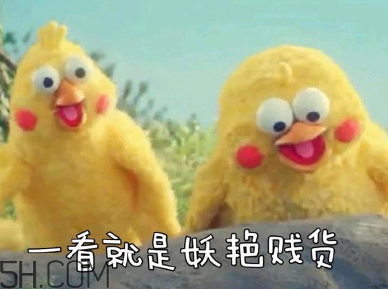 你們都是臭襪子什么意思？你們都是臭襪子表情包