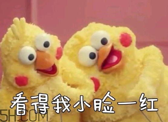 你們都是臭襪子什么意思？你們都是臭襪子表情包