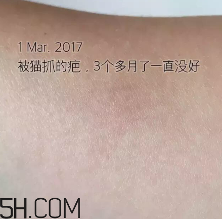 海藍之謎pk深海四十噚最全測評 面霜哪家好？