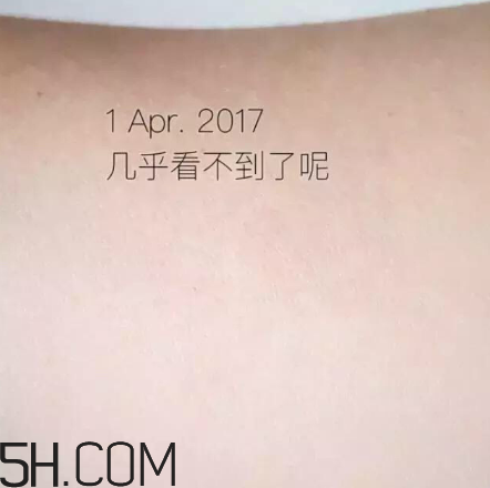 海藍之謎pk深海四十噚最全測評 面霜哪家好？