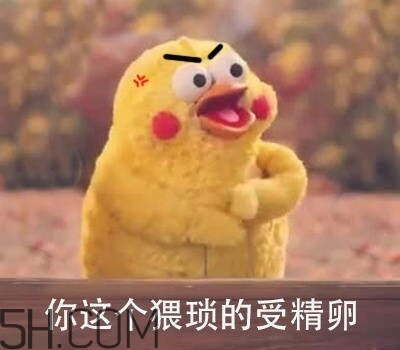 你這個(gè)猥瑣的受精卵是什么意思？你這個(gè)猥瑣的受精卵表情包