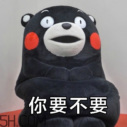 不給糖就搗蛋無(wú)水印表情包 萬(wàn)圣節(jié)不給糖就搗蛋 不給糖就搗蛋無(wú)水印表情包 萬(wàn)圣節(jié)不給糖就搗蛋